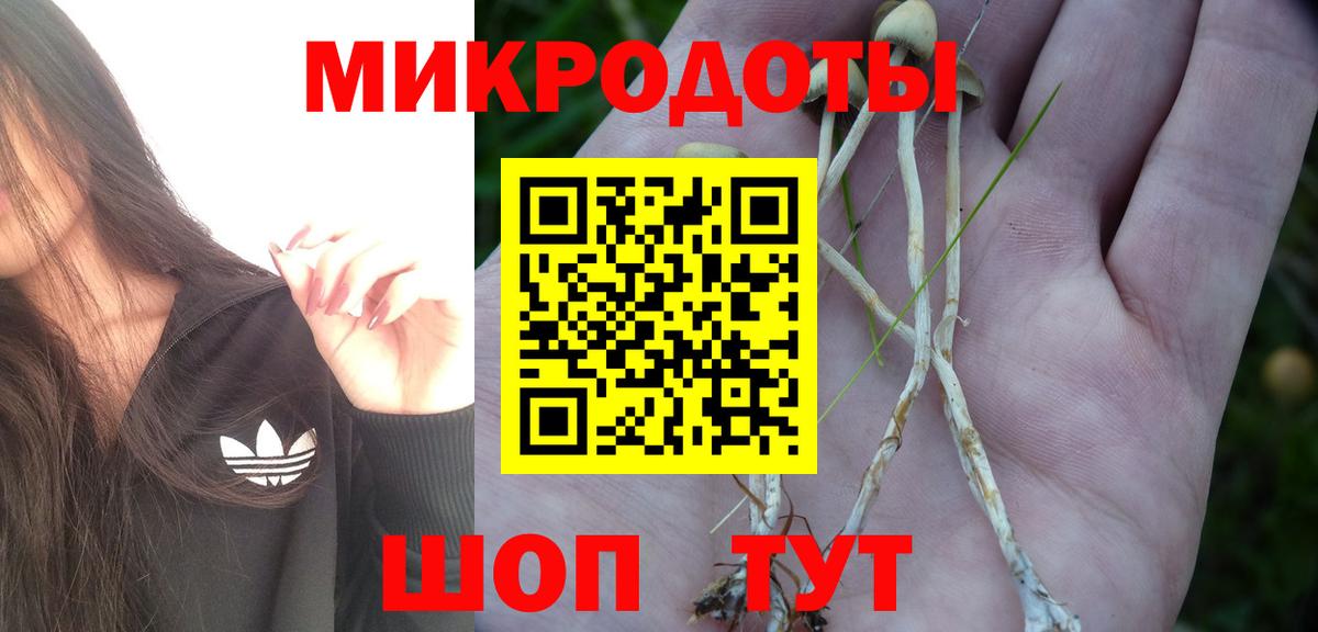 Псилоцибиновые грибы прущие грибы Новотроицк